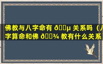 佛教与八字命有 🐵 关系吗（八字算命和佛 🌾 教有什么关系）